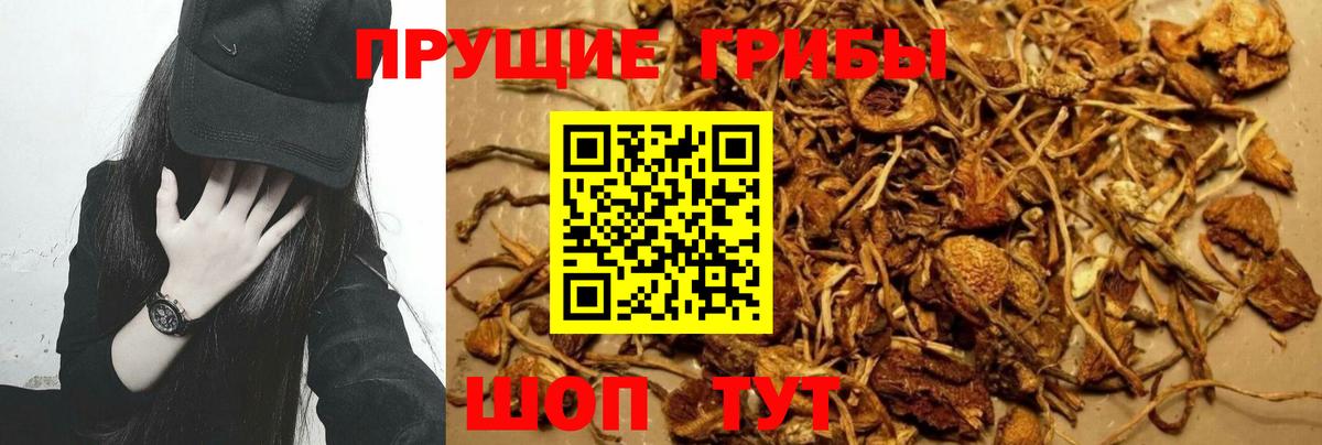 Псилоцибиновые грибы мухоморы Карабулак